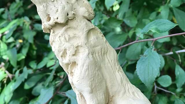 Atelier modelage : le loup qui hurle à la lune