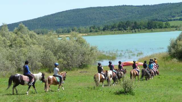 Nature et Patrimoine à cheval