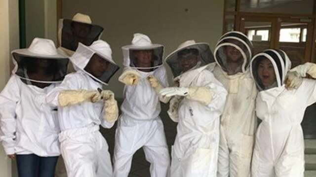 Association Un rêve d'abeilles