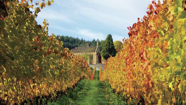 Le sentier des vignes