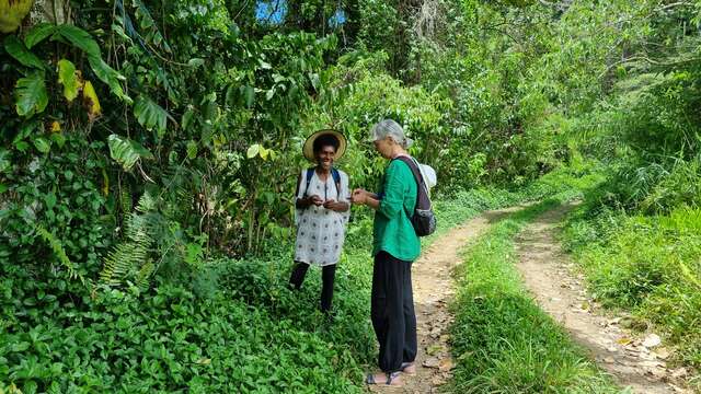 Hiking in Koindé with Mêrêsaaba rando