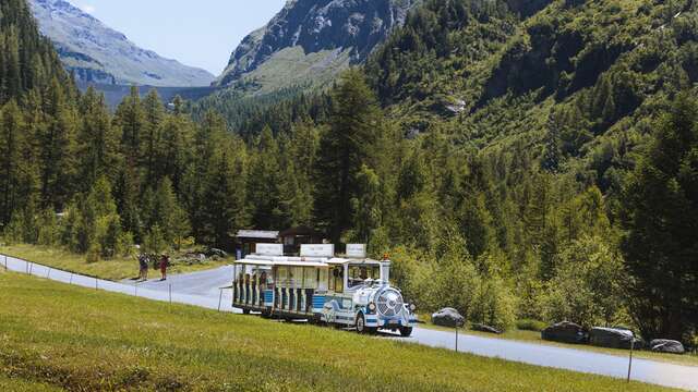 Train des Combins - Haut Val de Bagnes et Maison de la Pierre Ollaire