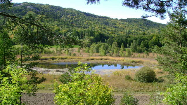 Trail n°5 - Petit Tour des Chapelles