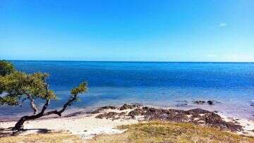 Horseback Ride - La Foa - 2 Hours - Ouano - Vaqueros Rando