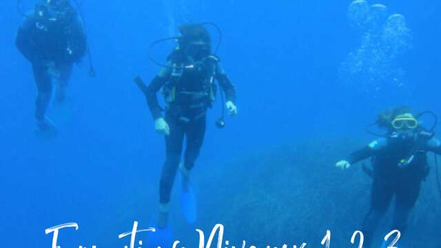 Formation niveaux de plongée sous-marine