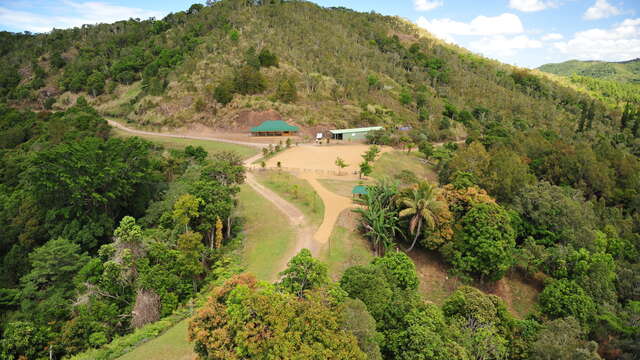 Great Ferns Park