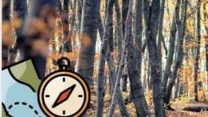 Le labyrinthe de la forêt (8 à 13 ans)