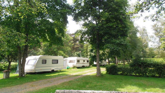 Narcisses - Campsite