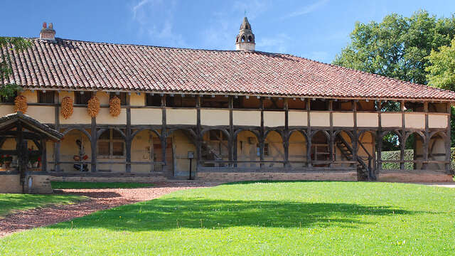 Excursion: Along the banks of Saône