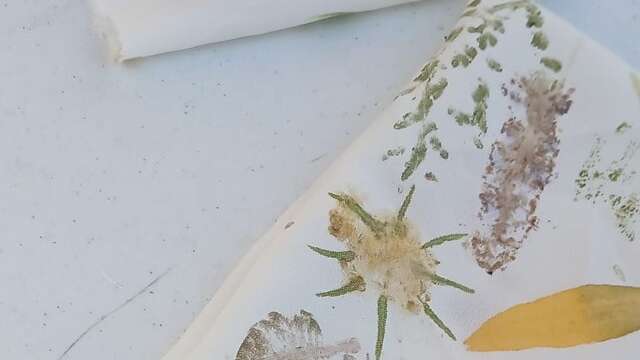 Tataki Zomé du printemps - atelier