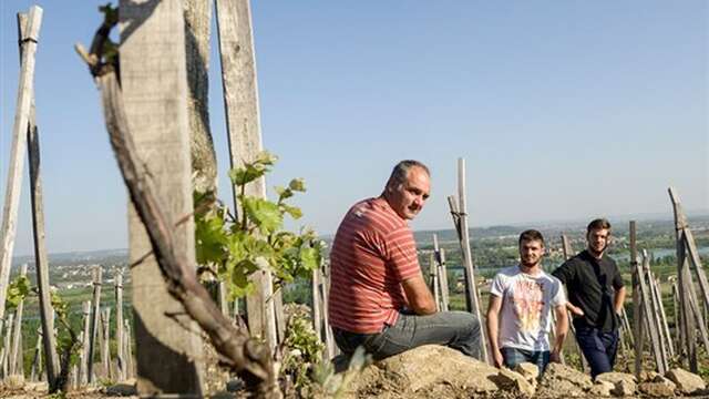 Domaine Christophe Pichon