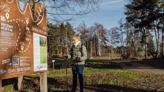 Sylvetum du Bois des Gaulois