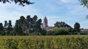 Domaine de l'Abbaye de Lérins