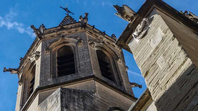 Visite guidée : Carpentras secret