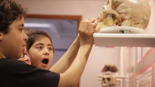 Journée Européenne de l'archéologie au musée de Préhistoire et Géologie Jean Hallemans