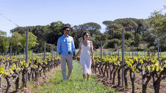 Pause romantique au cœur d'un vignoble de charme