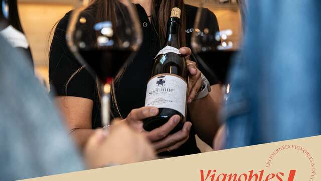 Visite de nos vignes et dégustation en accords mets et vins - Maison M. CHAPOUTIER