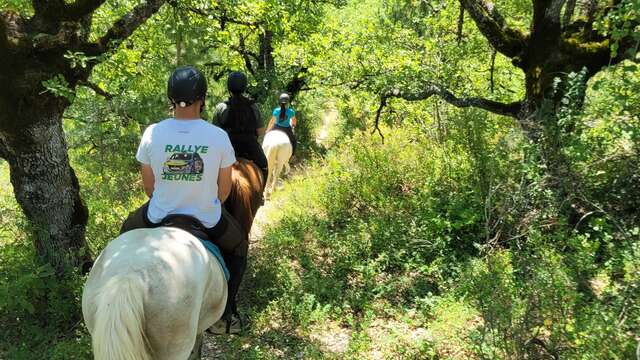 Tour de Ribiers à cheval