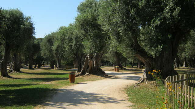 Cap Martin Park