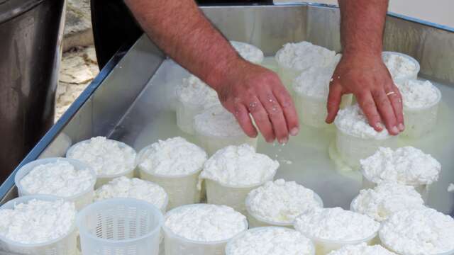 Ferme de la Voie Lactée