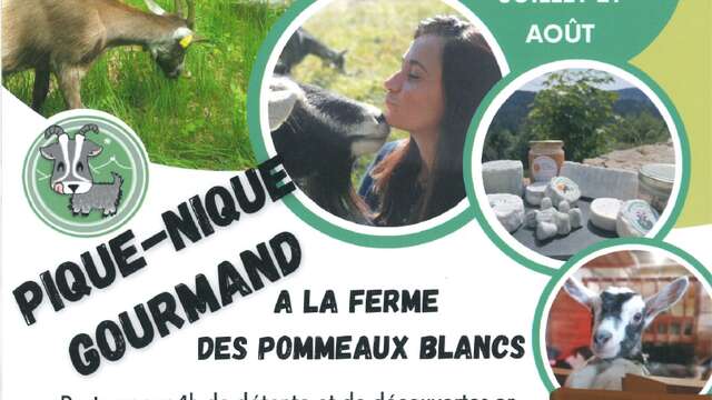 Pique-nique Gourmand Fermier à la Ferme des Pommeaux Blancs