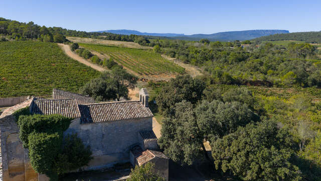 Sentier Randonner Autrement - De vigne en vigne