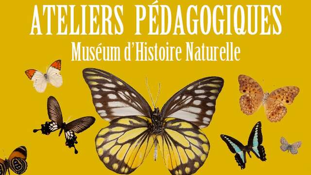 Ateliers Pédagogiques du Muséum - Vacances d'hiver