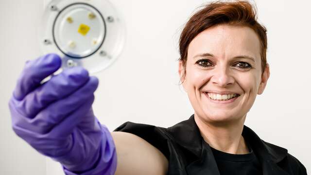 Scientific Lectures at the Naturoptère - The Mushrooms of the Apocalypse