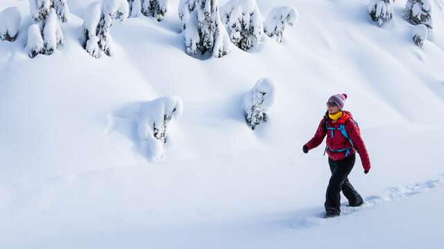 Snowshoeing and drinks