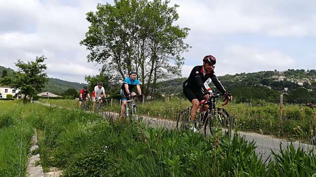 Circuit vélo : N°7 - Fayence