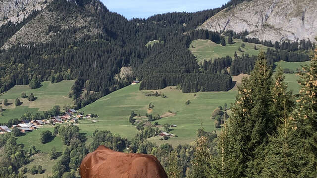 Regards croisés sur les alpages: screenings and expert exchanges