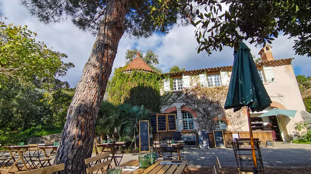 Découverte gustative au Domaine du Rayol, quand le vin s’invite dans l’assiette