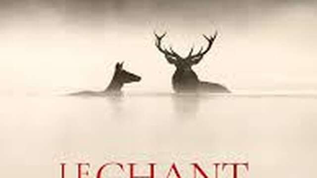 Fête de la nature : Projection "Le chant des forêts" au cinéma de Caussade