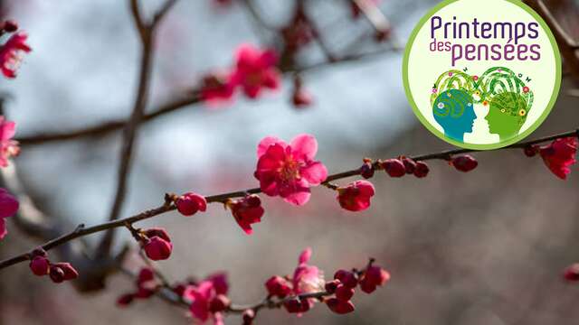 Printemps des pensées 2026 : concert Meylomanies