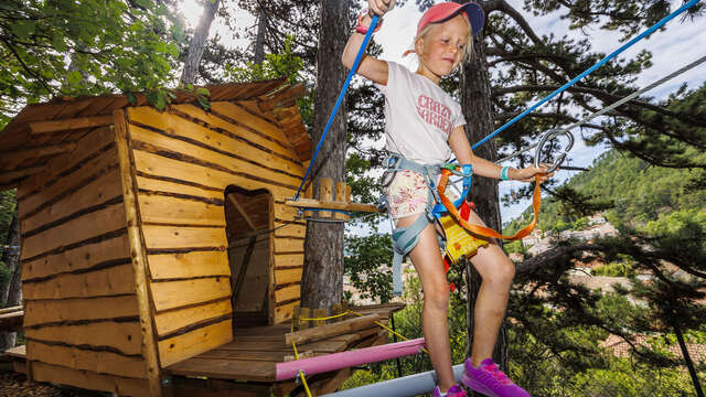 Tree climbing : Ouistiti