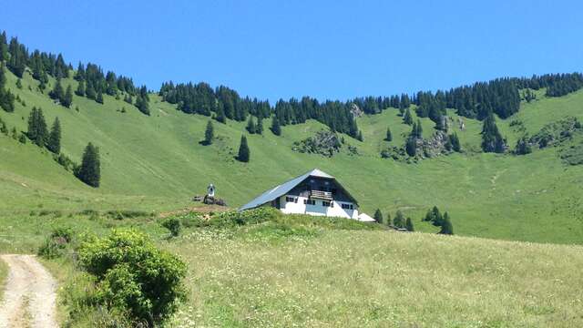 Chalet d'alpage de Barbossine
