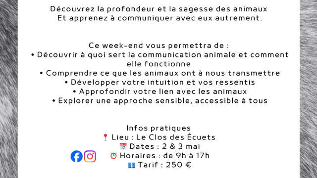 Initiation à la communication animale