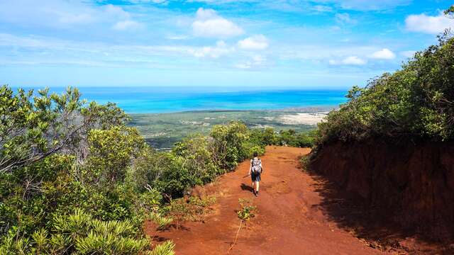 Sentier libre le plateau de Tia