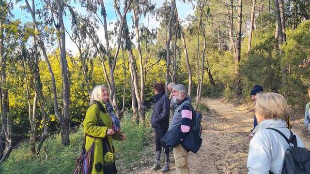 Balades Guidées: Tanneron, le mimosa et les plantes à parfum du Massif