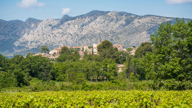 Sentier vigneron : Boucle du Belvédère