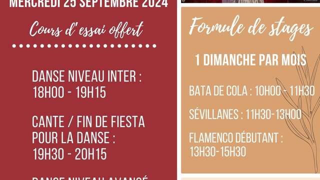 Cours et stages de flamenco