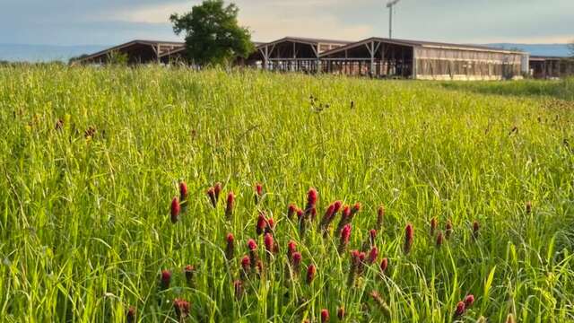 Ferme des Délices Foréziens