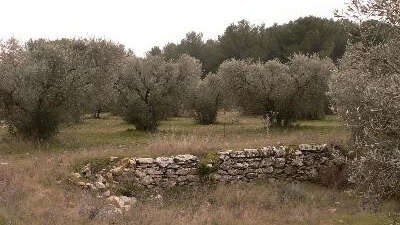 Lançon-Provence : Le sentier de Campagnole