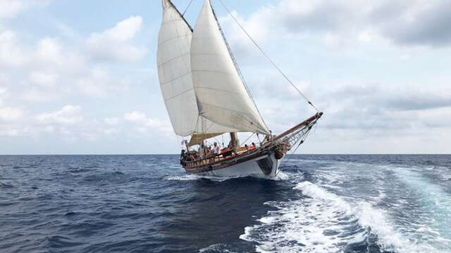 Journées de la Mer - Découverte des cétacés de Méditerranée