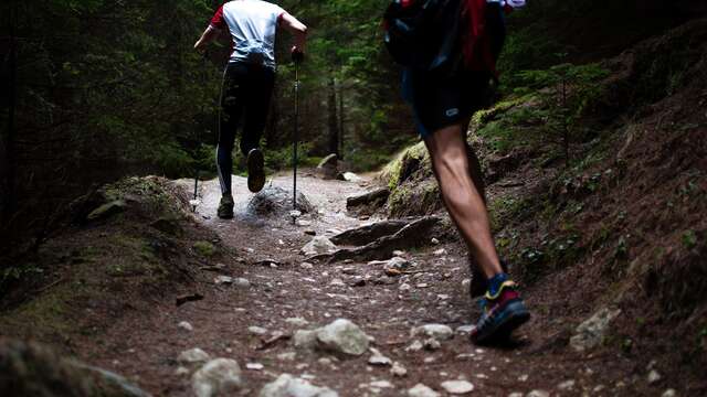 Espace trail Chalmazel-Jeansagnière