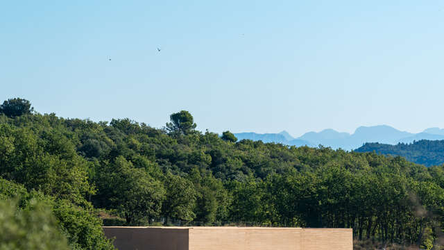 Domaine les Davids - Cave & dégustation