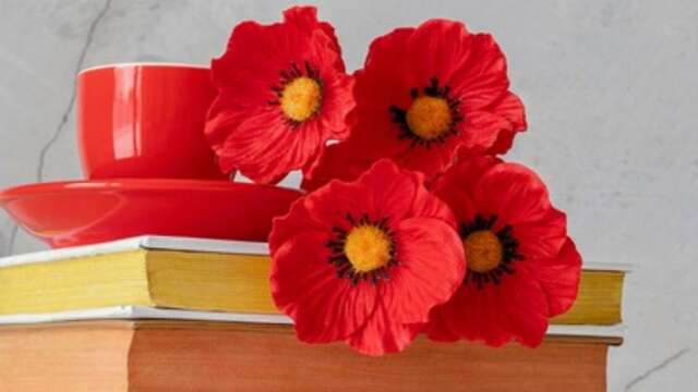 Rencontres littéraires : le bar à livre