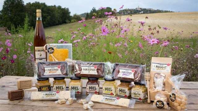 Bee au Top - Le Rucher de Fontabeille