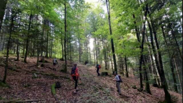 20 ans pour faire pousser l’avenir – Forêt du Groupement des Chavonnes