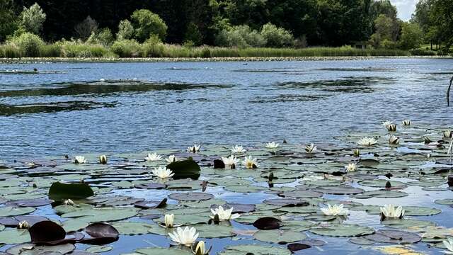 Balade pédestre - Tour du lac du Môle